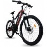 DAKOTA URBANBIKER , 840 WH E-MTB, 250 W MOTOR, 48 V 17.5 AH BATTERY