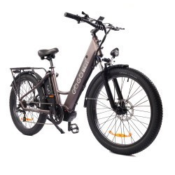 GOGOBEST GF850 ELECTRIC MID MOUNTED MOTOR BICYCLE