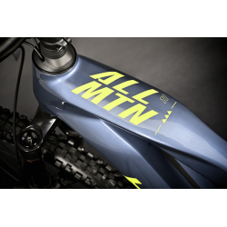 HAIBIKE ALLMTN CF 11