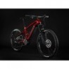 HAIBIKE ALLMTN CF 12