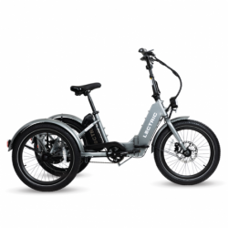 Electric XP Trike