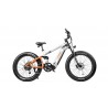 CYRUSHER RANGER ALL-TERRAIN ELECTRIC BIKE | 750W 20AH | TORQUE SENSOR