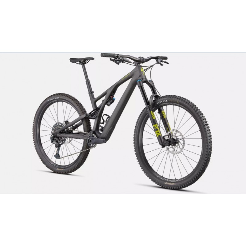 Stumpjumper EVO Expert