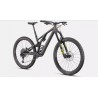 Stumpjumper EVO Expert