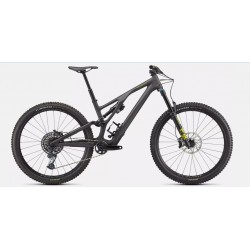 Stumpjumper EVO Expert