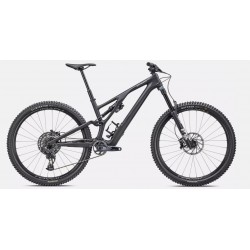 2023 Stumpjumper EVO Expert
