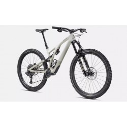 2023 Stumpjumper EVO Expert
