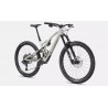 2023 Stumpjumper EVO Expert