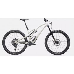 2023 Stumpjumper EVO Expert