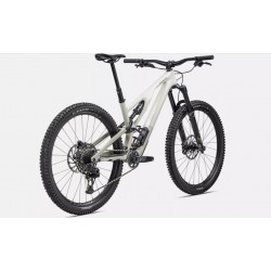 2023 Stumpjumper EVO Expert