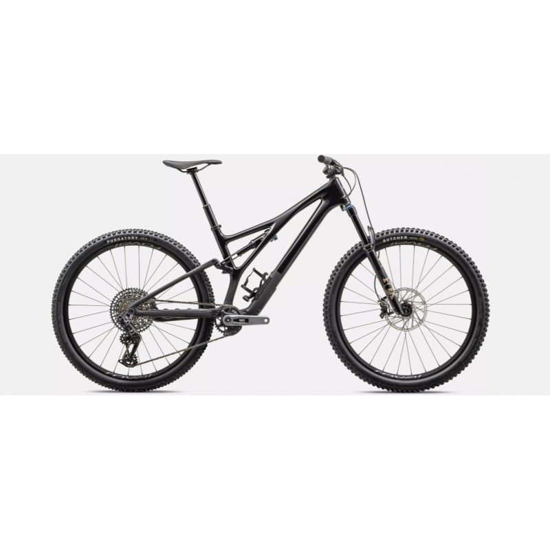 Stumpjumper Expert T-Type