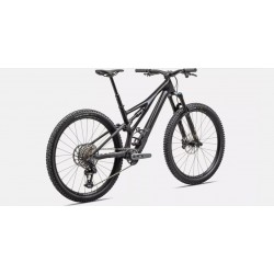 Stumpjumper Expert T-Type