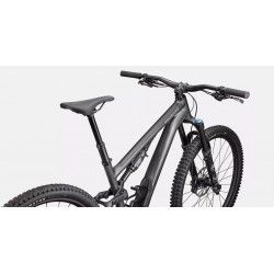 Stumpjumper 15 Comp Alloy