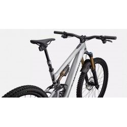 S-Works Turbo Levo SL 2