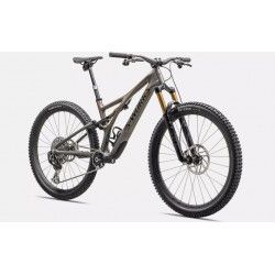 S-Works Stumpjumper T-Type