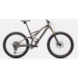 S-Works Stumpjumper T-Type