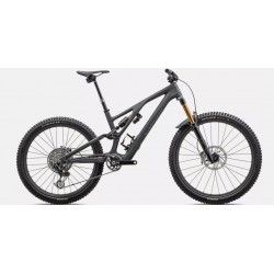 S-Works Stumpjumper EVO T-Type