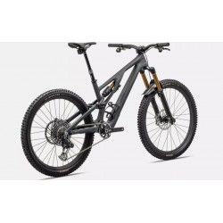 S-Works Stumpjumper EVO T-Type