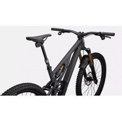 S-Works Stumpjumper EVO T-Type