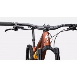 Stumpjumper 15 Öhlins Coil