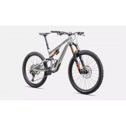 Stumpjumper 15 Alloy FOX Coil