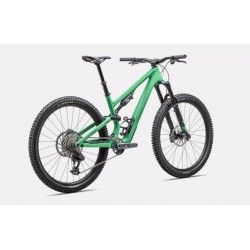 Stumpjumper 15 Expert