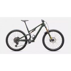 Stumpjumper 15 Pro