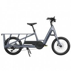 Trek Fetch+ 2 Electric Cargo Bike - 2023