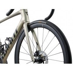 Defy Advanced SL 1 2024