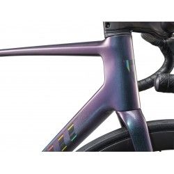 TCR Advanced SL 1 2025