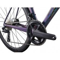 TCR Advanced SL 1 2025