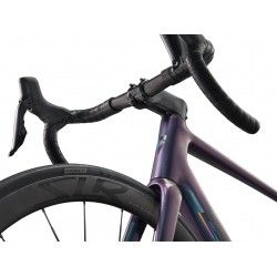 TCR Advanced SL 1 2025