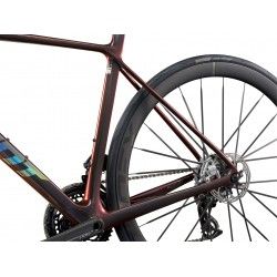 TCR Advanced SL 0 Red 2025