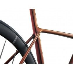 TCR Advanced SL 0 Red 2025