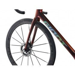 TCR Advanced SL 0 DA 2025