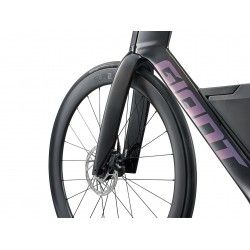 Trinity Advanced SL 2 2025