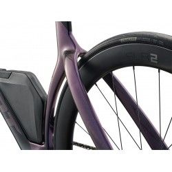 Trinity Advanced SL 2 2025