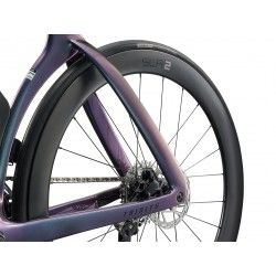 Trinity Advanced SL 2 2025