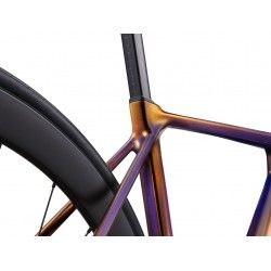 TCR Advanced Pro 2 2025