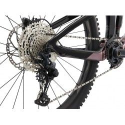 Reign Advanced Pro 2 2023