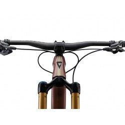 Reign Advanced Pro 0 2023