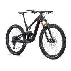 Trance Advanced Pro 29 1 2023