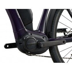 Expression E+ 2 2024