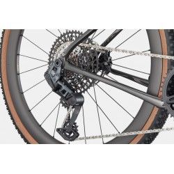 Topstone Carbon 1 Lefty AXS