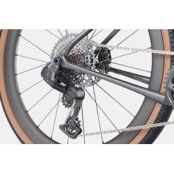 Topstone Carbon 1 AXS