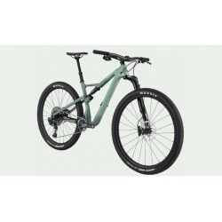 Scalpel Carbon SE Ultimate