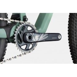 Scalpel Carbon SE Ultimate