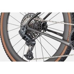 Topstone Carbon 1 Lefty AXS