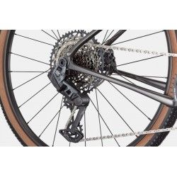 Topstone Carbon 2 AXS - 1x