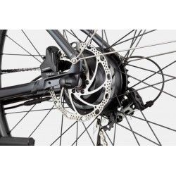 Treadwell Neo 2 EQ Remixte